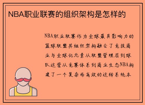 NBA职业联赛的组织架构是怎样的